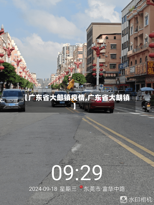 【广东省大郎镇疫情,广东省大朗镇】-第2张图片
