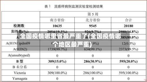 全国疫情哪里省最严重了(全国疫情哪个地区最严重)-第1张图片