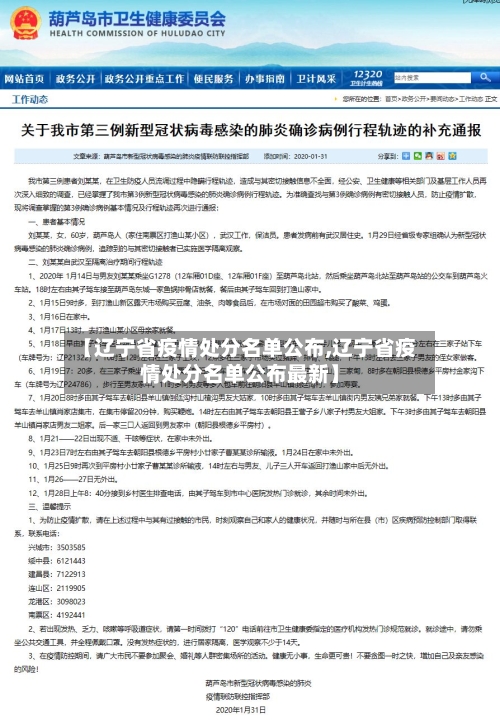 【辽宁省疫情处分名单公布,辽宁省疫情处分名单公布最新】-第1张图片