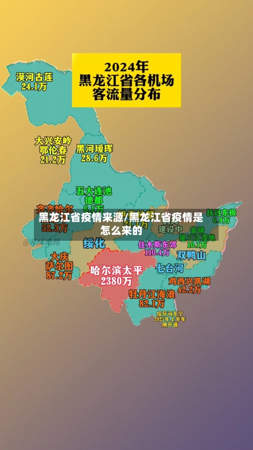 黑龙江省疫情来源/黑龙江省疫情是怎么来的-第2张图片