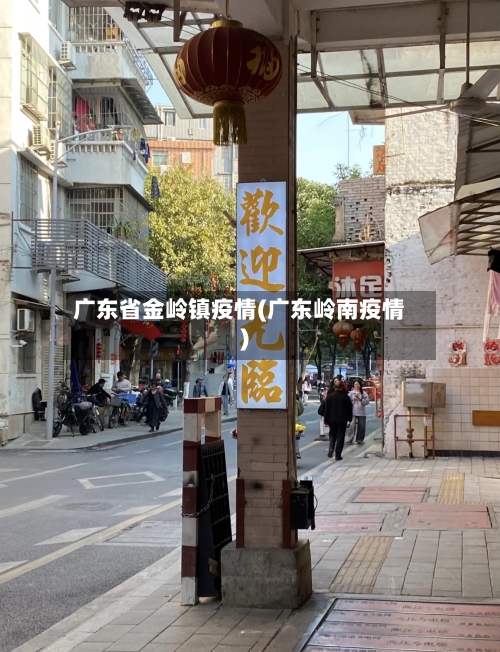 广东省金岭镇疫情(广东岭南疫情)-第1张图片