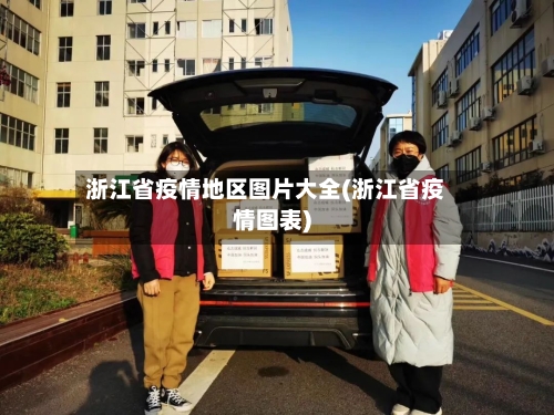 浙江省疫情地区图片大全(浙江省疫情图表)-第1张图片