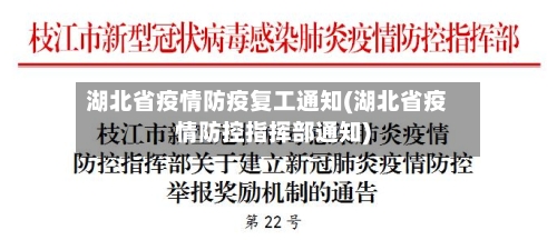 湖北省疫情防疫复工通知(湖北省疫情防控指挥部通知)-第3张图片