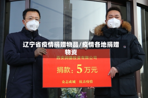 辽宁省疫情捐赠物品/疫情各地捐赠物资-第2张图片