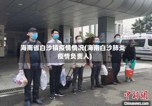 海南省白沙镇疫情情况(海南白沙肺炎疫情负责人)-第2张图片