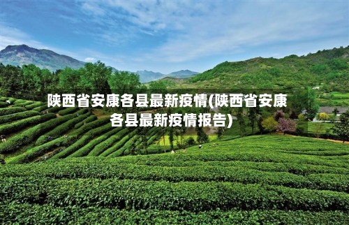陕西省安康各县最新疫情(陕西省安康各县最新疫情报告)-第1张图片