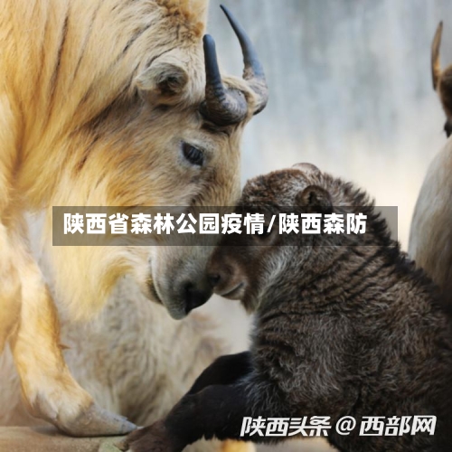 陕西省森林公园疫情/陕西森防-第1张图片