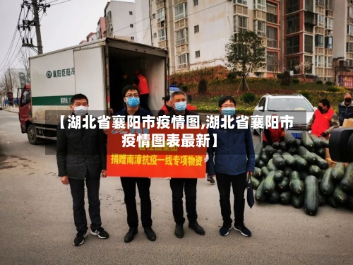 【湖北省襄阳市疫情图,湖北省襄阳市疫情图表最新】-第1张图片