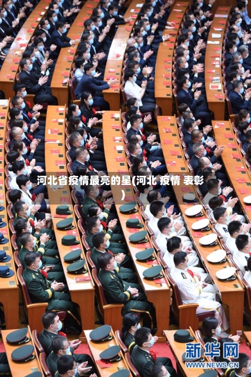河北省疫情最亮的星(河北 疫情 表彰)-第1张图片