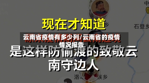 云南省疫情有多少列/云南省的疫情情况报告-第2张图片