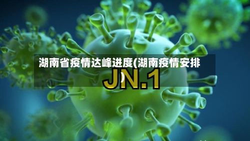 湖南省疫情达峰进度(湖南疫情安排)-第2张图片