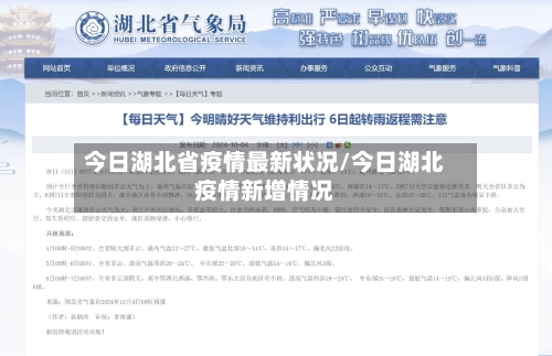 今日湖北省疫情最新状况/今日湖北疫情新增情况-第1张图片