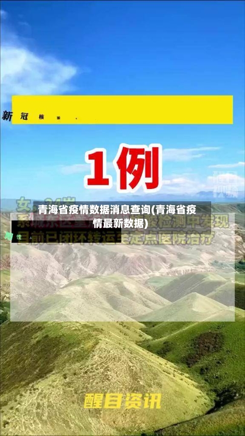 青海省疫情数据消息查询(青海省疫情最新数据)-第2张图片