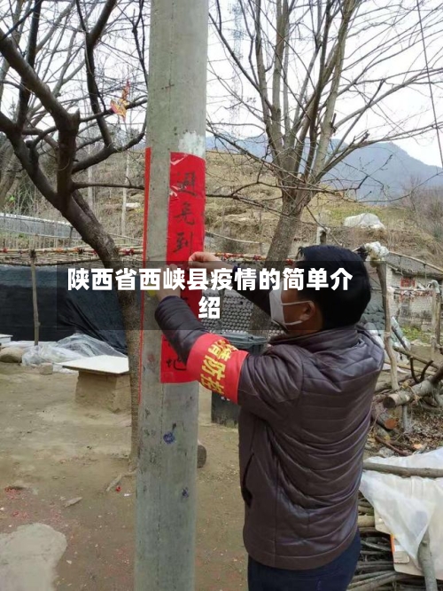 陕西省西峡县疫情的简单介绍-第1张图片