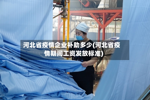 河北省疫情企业补助多少(河北省疫情期间工资发放标准)-第2张图片