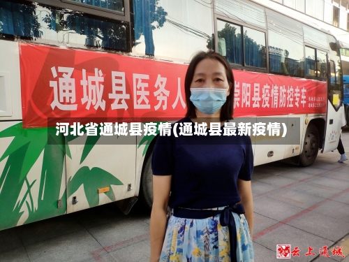 河北省通城县疫情(通城县最新疫情)-第2张图片