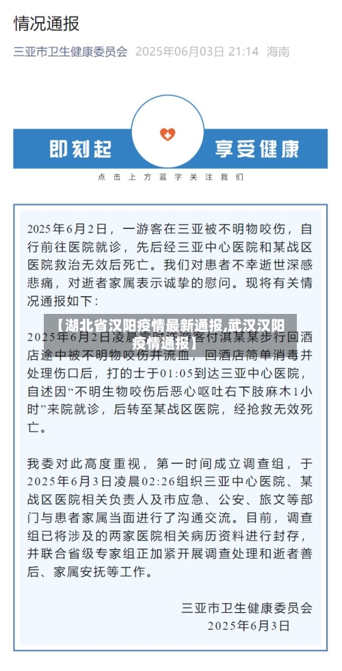 【湖北省汉阳疫情最新通报,武汉汉阳疫情通报】-第1张图片