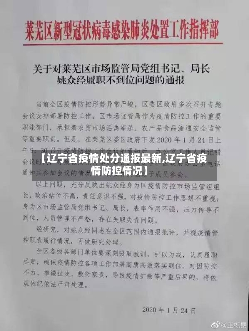 【辽宁省疫情处分通报最新,辽宁省疫情防控情况】-第1张图片