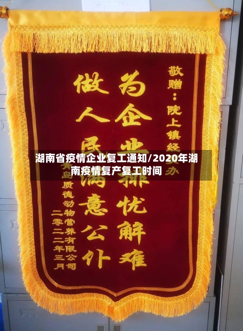 湖南省疫情企业复工通知/2020年湖南疫情复产复工时间-第3张图片