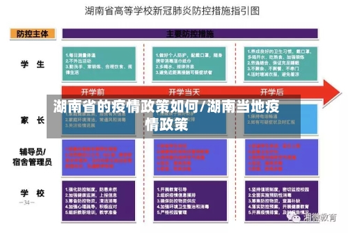 湖南省的疫情政策如何/湖南当地疫情政策-第2张图片