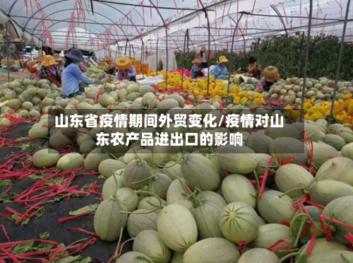 山东省疫情期间外贸变化/疫情对山东农产品进出口的影响-第1张图片