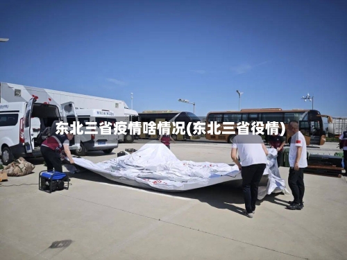 东北三省疫情啥情况(东北三省役情)-第2张图片