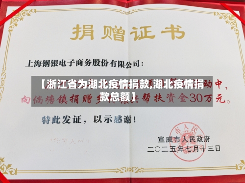 【浙江省为湖北疫情捐款,湖北疫情捐款总额】-第1张图片