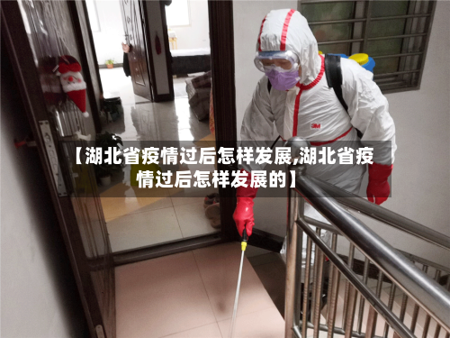 【湖北省疫情过后怎样发展,湖北省疫情过后怎样发展的】-第2张图片