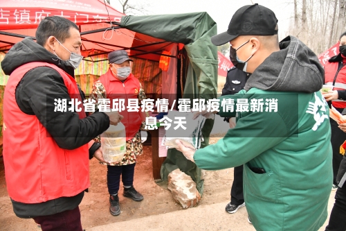湖北省霍邱县疫情/霍邱疫情最新消息今天-第2张图片