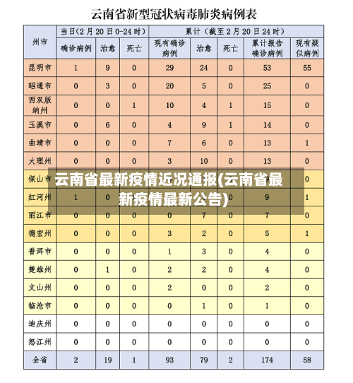 云南省最新疫情近况通报(云南省最新疫情最新公告)-第3张图片