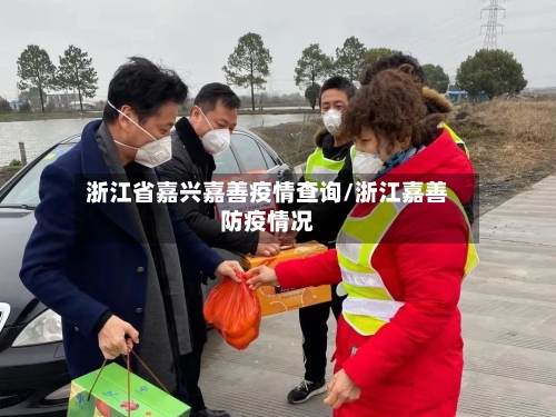 浙江省嘉兴嘉善疫情查询/浙江嘉善防疫情况-第2张图片