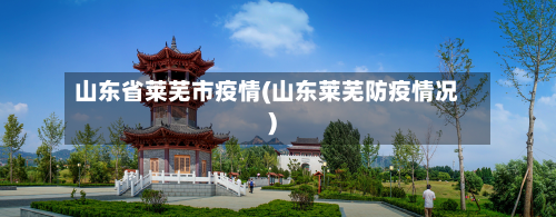 山东省莱芜市疫情(山东莱芜防疫情况)-第3张图片