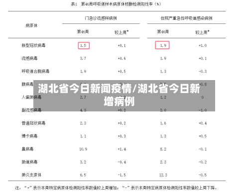湖北省今日新闻疫情/湖北省今日新增病例-第2张图片