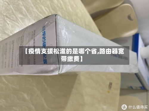 【疫情支援松滋的是哪个省,路由器宽带缴费】-第1张图片