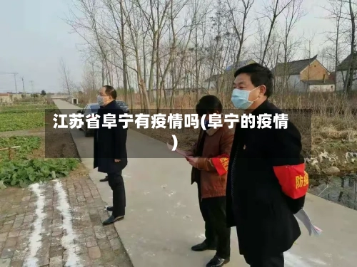 江苏省阜宁有疫情吗(阜宁的疫情)-第2张图片