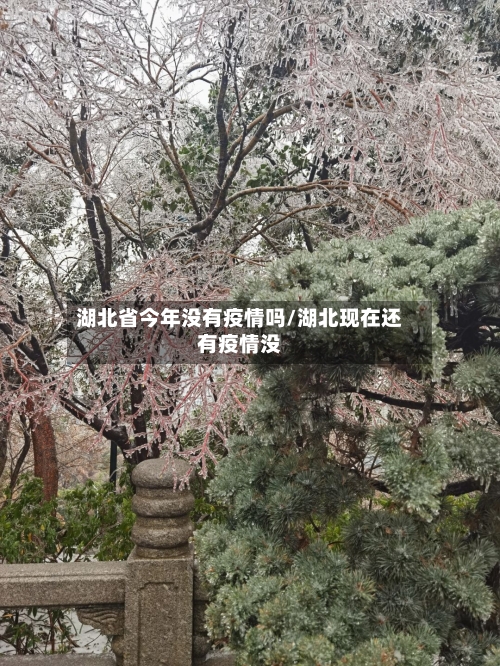湖北省今年没有疫情吗/湖北现在还有疫情没-第3张图片
