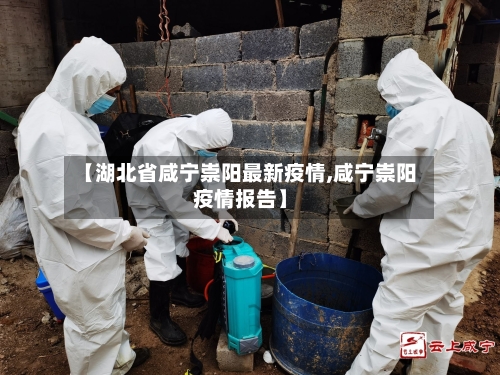 【湖北省咸宁崇阳最新疫情,咸宁崇阳疫情报告】-第1张图片