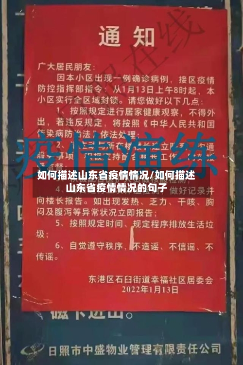 如何描述山东省疫情情况/如何描述山东省疫情情况的句子-第2张图片