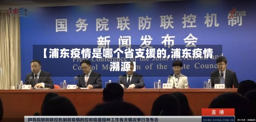 【浦东疫情是哪个省支援的,浦东疫情溯源】-第1张图片
