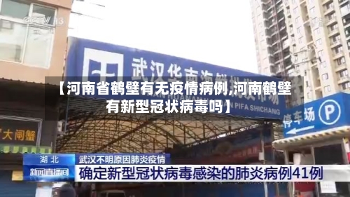 【河南省鹤壁有无疫情病例,河南鹤壁有新型冠状病毒吗】-第2张图片