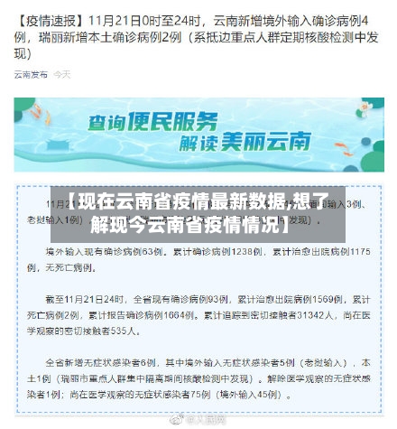 【现在云南省疫情最新数据,想了解现今云南省疫情情况】-第3张图片