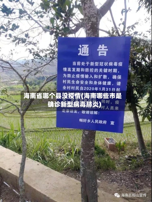 海南省哪个县没疫情(海南哪些市是确诊新型病毒肺炎)-第2张图片