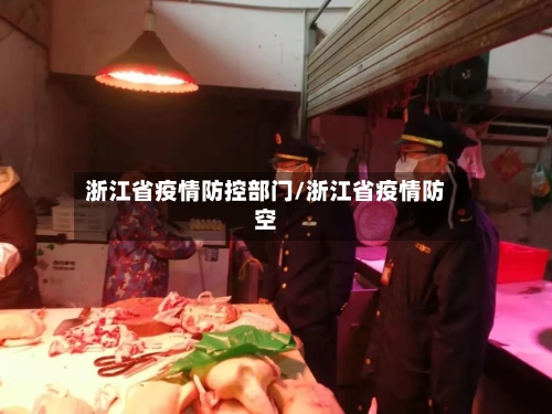 浙江省疫情防控部门/浙江省疫情防空-第2张图片