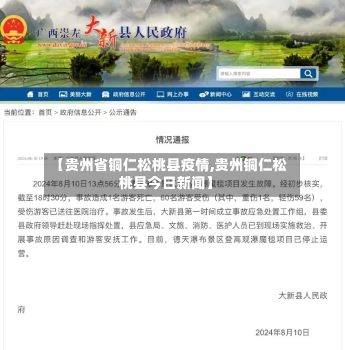 【贵州省铜仁松桃县疫情,贵州铜仁松桃县今日新闻】-第2张图片