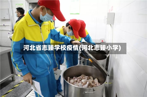 河北省志臻学校疫情(河北志臻小学)-第2张图片