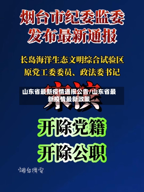 山东省最新疫情通报公告/山东省最新疫情最新政策-第3张图片
