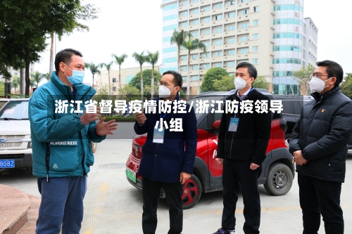 浙江省督导疫情防控/浙江防疫领导小组-第1张图片