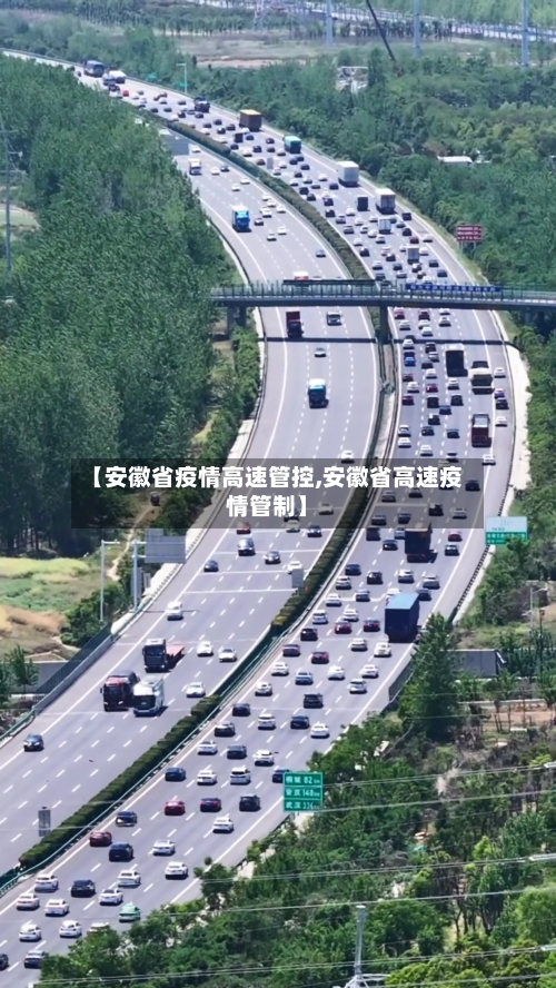 【安徽省疫情高速管控,安徽省高速疫情管制】-第3张图片